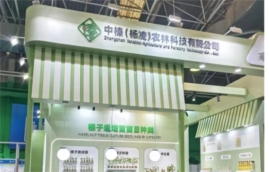 1761881638671663.png image.png